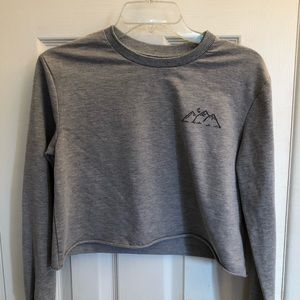 Grey long sleeve crop top